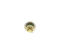 Bosch Regolatore di pressione carburante 0 280 160 551 per Ford Fiesta IV, Puma