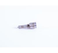 BOSCH 0 433 172 244 Ugello / Iniettore