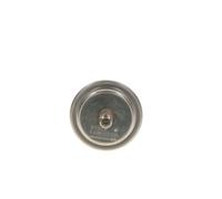 BOSCH 0 438 170 055 Accumulatore Pressione, Pressione Carburante