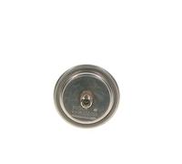 BOSCH 0 438 170 055 Accumulatore Pressione, Pressione Carburante