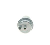 Accumulatore Pressione Pressione Carburante Bosch 0438170063 per Ford