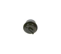Filtro carburante BOSCH 0 450 905 920