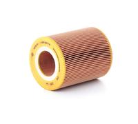 Cartuccia Filtro Aria Motore Bosch Air Filter - 1457433715