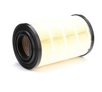 BOSCH 1 457 433 790 Filtro aria per FIAT DUCATO Pritsche/Fahrgestell (244)