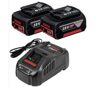BOSCH 1 600 A00 B8J Batteria di ricambio, Avvitatore a batteria