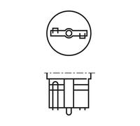 BOSCH 1 987 301 033 Lampadina, Porta Vano Piedi Luce per ,Abarth, Alfa Romeo ,