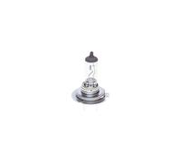 Bosch H7 Pure Light lampadine faro, 12 V 55 W PX26d, lampadine x2