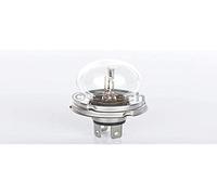 Bosch Lampadina, Faro Di Profondità 1987302023