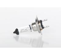 Lampada alogena BOSCH H7 Trucklight Maxlife 24V, 70W, 1 Pezzo