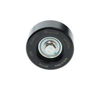 BOSCH 1 987 600 041 Galoppino guidacinghia, cinghia Poly-V