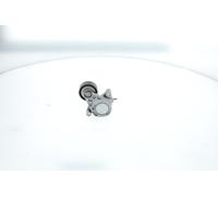 BOSCH 1 987 600 327 Tenditore cinghia servizi
