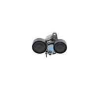BOSCH 1 987 600 376 Tenditore cinghia servizi