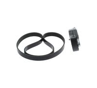 BOSCH 1 987 600 717 Kit Cinghie Poly-V per RENAULT