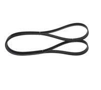 Bosch Cinghie Poly-V 1987945719