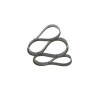 Bosch Cinghia Poly-V 1 987 945 986 trapezoidale multirighe per Ford/Opel/Renault/Saab
