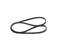 Bosch Cinghia Poly-V 1 987 946 001 Cinghia servizi
