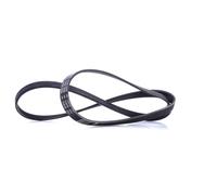 BOSCH 1 987 946 001 Cinghia servizi per TOYOTA COROLLA Verso (ZER, ZZE12, R1)