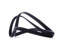 BOSCH 1 987 946 019 Cinghia servizi