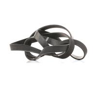 BOSCH Cinghia Poly-V per ALFA ROMEO BMW CHRYSLER FIAT LANCIA OPEL VAUXHALL