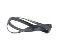 Originale BOSCH Cinghia Scanalata 1 987 946 071 per Citroën Ford USA Ford