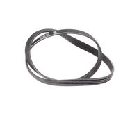 BOSCH 1 987 946 076 Cinghia servizi