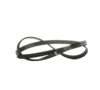 BOSCH 1 987 946 081 Cinghia servizi