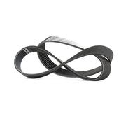 Cinghia Poly-V BOSCH 1 987 946 101