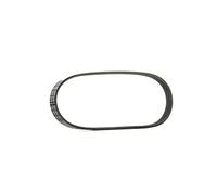 Cinghia Poly-V BOSCH 1 987 946 123