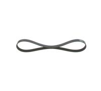 BOSCH 1 987 946 125 Cinghia Poly-V per FORD,FORD ASIA & OCEANIA,FORD AUSTRALIA,M