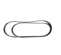Set di cinghie Poly-V BOSCH 1 987 946 196