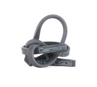 BOSCH Cinghia Poly-V 1987946215 | Compatibile con: BMW 1, 1, 1 Cabriolet, 1 Coupe, 3, 3 Cabriolet, 3 Coupe, 3 Touring