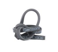 BOSCH 1 987 946 215 Cinghia servizi per BMW 3 Limousine (E90) 1 Schrägheck (E87)