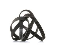 BOSCH 1 987 946 237 Cinghia servizi