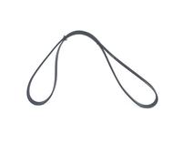 Cinghia trapezoidale multirighe 1 987 946 239 BOSCH per SMART MITSUBISHI HYUNDAI