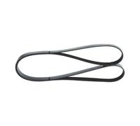 Cinghia Poly-V BOSCH 1 987 946 259