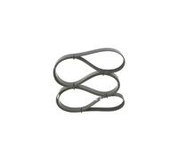 BOSCH 1 987 946 285 Cinghia Poly-V per FORD,FORD AUSTRALIA,LAND ROVER