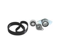 Kit cinghia distribuzione 1 987 946 779 BOSCH