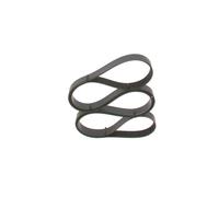 BOSCH 1 987 947 382 Cinghia servizi