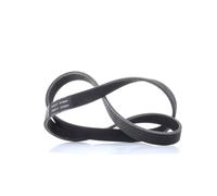 BOSCH 1 987 947 812 Cinghia servizi per AUDI R8 Coupe (422, 423) 970mm