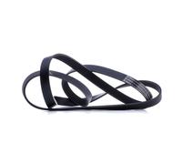 BOSCH 1 987 947 822 Cinghia servizi