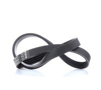 BOSCH 1 987 947 888 Cinghia servizi