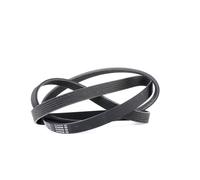 BOSCH 1 987 947 979 Cinghia servizi per AUDI 80 Sedan (8C2, B4) A8 (4D2, 4D8)