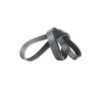 Bosch 1 987 948 498 Cinghia Scanalata per Opel Agila (A) Fiat Tipo
