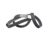 BOSCH 1 987 949 034 Cinghia dentata