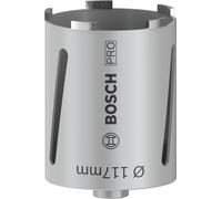 Bosch 1x Corona PRO a secco per trapani carotatori, G 1/2 pollice (per Mattoni in pietra calcarea e arenaria, Mattone, Ø 117 mm, Professional Accessorio Trapano al diamante)