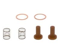 BOSCH 2 447 010 011 Filtro carburante