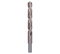 Bosch, 2609255059, 2609255059 Fai da te Punte per metallo HSS-G 13 x 101 x 151 (1)