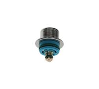 BOSCH Regolatore pressione carburante 0280160560 Compatibile con: ALFA ROMEO 146, 156, 166, SPIDER, AUDI A3, CITROËN BERLINGO/BERLINGO FIRST Großraumlimousine (MF_, GJK_, GFK_