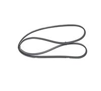 Bosch Cinghia Poly-V 1 987 947 897 per Toyota, Hyundai, Nissan (Yaris, Land Cruiser, Avensis)