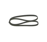 Bosch 5PK1219 - Cinghia trapezoidale a nervature - 1987946084